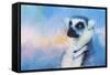 Colorful Expressions Lemur-Jai Johnson-Framed Stretched Canvas