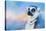 Colorful Expressions Lemur-Jai Johnson-Stretched Canvas