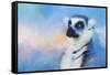 Colorful Expressions Lemur-Jai Johnson-Framed Stretched Canvas