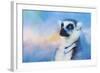 Colorful Expressions Lemur-Jai Johnson-Framed Giclee Print