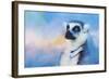 Colorful Expressions Lemur-Jai Johnson-Framed Giclee Print