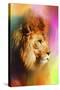 Colorful Expressions Lion-Jai Johnson-Stretched Canvas