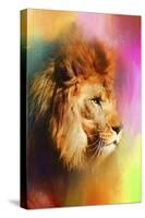 Colorful Expressions Lion-Jai Johnson-Stretched Canvas