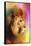 Colorful Expressions Lion-Jai Johnson-Framed Stretched Canvas