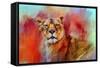 Colorful Expressions Lioness-Jai Johnson-Framed Stretched Canvas