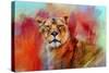 Colorful Expressions Lioness-Jai Johnson-Stretched Canvas