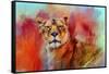 Colorful Expressions Lioness-Jai Johnson-Framed Stretched Canvas