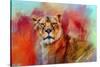 Colorful Expressions Lioness-Jai Johnson-Stretched Canvas