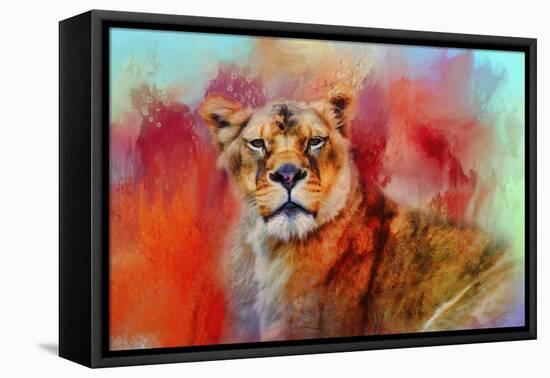 Colorful Expressions Lioness-Jai Johnson-Framed Stretched Canvas