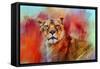 Colorful Expressions Lioness-Jai Johnson-Framed Stretched Canvas