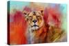 Colorful Expressions Lioness-Jai Johnson-Stretched Canvas