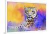 Colorful Expressions Snow Leopard-Jai Johnson-Framed Giclee Print