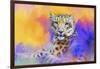 Colorful Expressions Snow Leopard-Jai Johnson-Framed Giclee Print