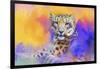 Colorful Expressions Snow Leopard-Jai Johnson-Framed Giclee Print