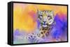 Colorful Expressions Snow Leopard-Jai Johnson-Framed Stretched Canvas