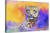 Colorful Expressions Snow Leopard-Jai Johnson-Stretched Canvas