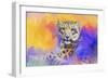 Colorful Expressions Snow Leopard-Jai Johnson-Framed Giclee Print