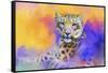 Colorful Expressions Snow Leopard-Jai Johnson-Framed Stretched Canvas