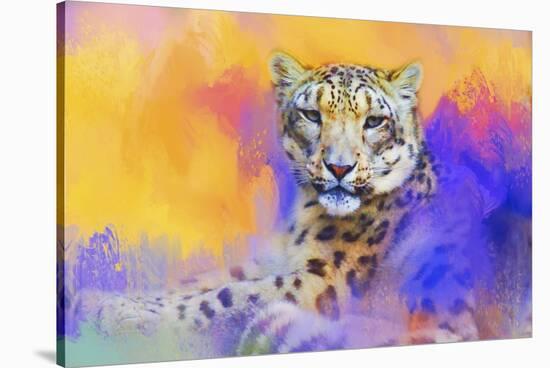 Colorful Expressions Snow Leopard-Jai Johnson-Stretched Canvas