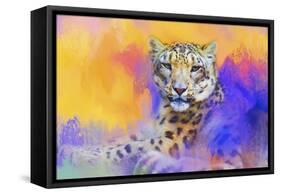 Colorful Expressions Snow Leopard-Jai Johnson-Framed Stretched Canvas