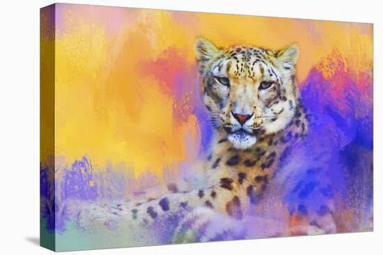 Colorful Expressions Snow Leopard-Jai Johnson-Stretched Canvas