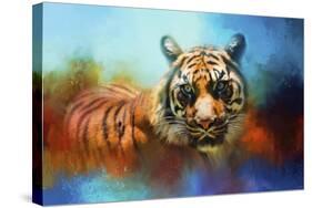 Colorful Expressions Tiger 2-Jai Johnson-Stretched Canvas