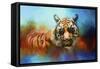 Colorful Expressions Tiger 2-Jai Johnson-Framed Stretched Canvas