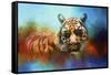 Colorful Expressions Tiger 2-Jai Johnson-Framed Stretched Canvas