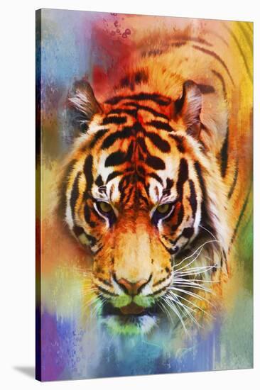 Colorful Expressions Tiger-Jai Johnson-Stretched Canvas