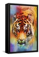 Colorful Expressions Tiger-Jai Johnson-Framed Stretched Canvas