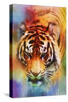 Colorful Expressions Tiger-Jai Johnson-Stretched Canvas