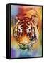 Colorful Expressions Tiger-Jai Johnson-Framed Stretched Canvas