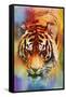 Colorful Expressions Tiger-Jai Johnson-Framed Stretched Canvas