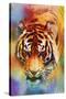 Colorful Expressions Tiger-Jai Johnson-Stretched Canvas