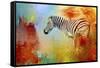 Colorful Expressions Zebra-Jai Johnson-Framed Stretched Canvas