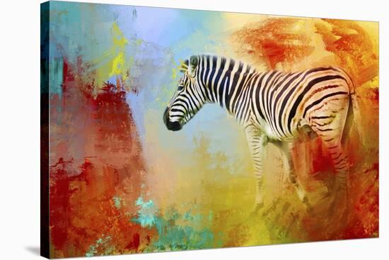 Colorful Expressions Zebra-Jai Johnson-Stretched Canvas