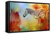 Colorful Expressions Zebra-Jai Johnson-Framed Stretched Canvas