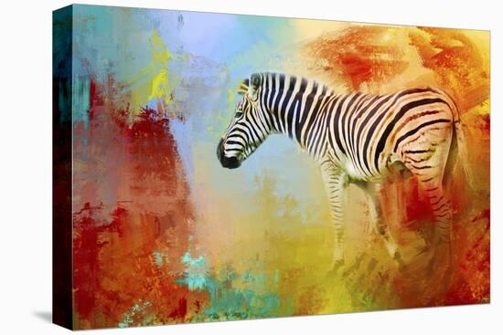 Colorful Expressions Zebra-Jai Johnson-Stretched Canvas