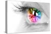 Colorful Eye-Arcoss-Stretched Canvas