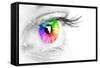 Colorful Eye-Arcoss-Framed Stretched Canvas