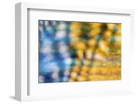 Colorful fabric detail.-Zandria Muench Beraldo-Framed Photographic Print