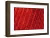 Colorful fabric detail.-Zandria Muench Beraldo-Framed Photographic Print