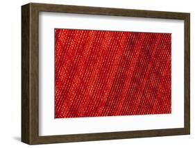 Colorful fabric detail.-Zandria Muench Beraldo-Framed Photographic Print