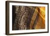 Colorful fabric detail.-Zandria Muench Beraldo-Framed Photographic Print