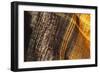 Colorful fabric detail.-Zandria Muench Beraldo-Framed Photographic Print