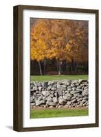 Colorful fall foliage, New England, USA-Jim Engelbrecht-Framed Photographic Print