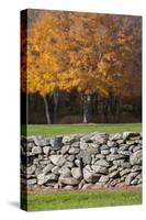 Colorful fall foliage, New England, USA-Jim Engelbrecht-Stretched Canvas