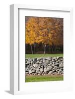 Colorful fall foliage, New England, USA-Jim Engelbrecht-Framed Photographic Print