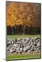 Colorful fall foliage, New England, USA-Jim Engelbrecht-Mounted Photographic Print