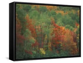 Colorful Fall Reflections in a Pond, Maine, USA-Jerry & Marcy Monkman-Framed Stretched Canvas